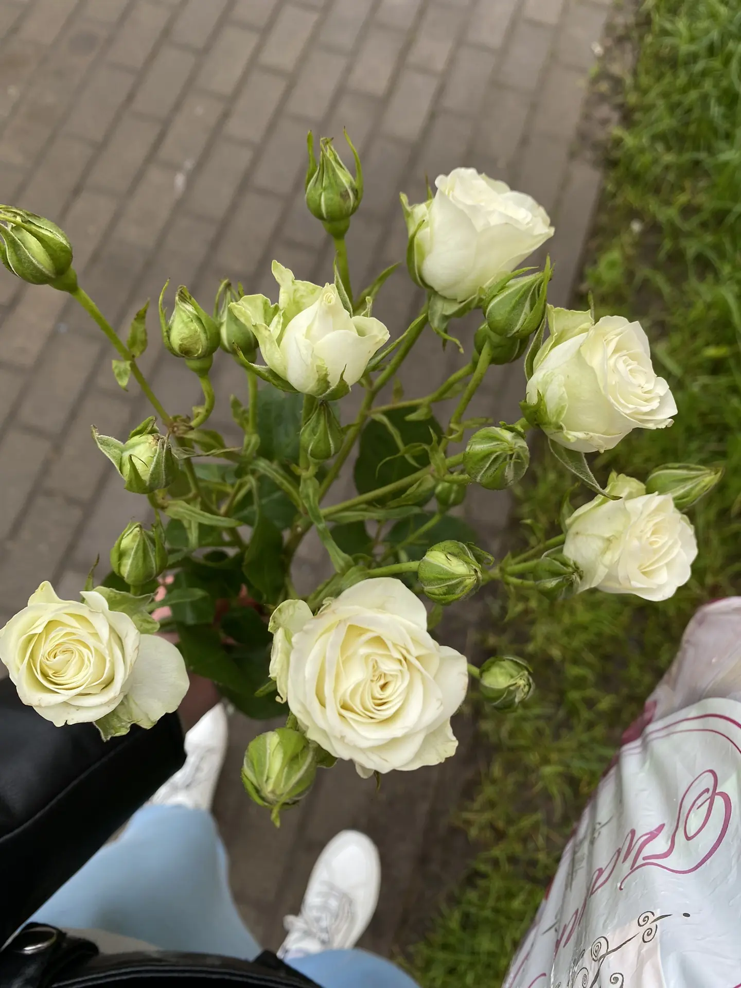 К сожалению, не знаю почему комментарии слетели, но вы всегда можете мне написать в лс, только я пок