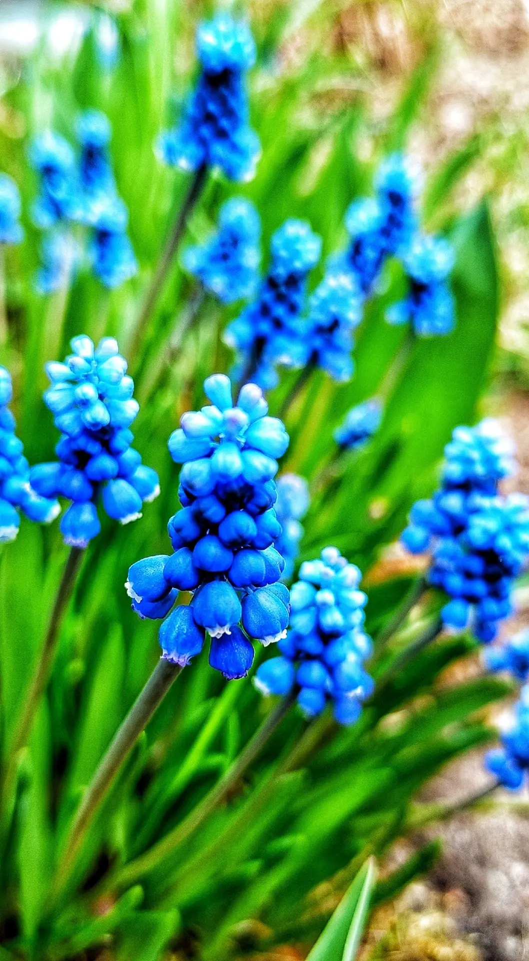 Яркий май.
📷 Ирина Мых.