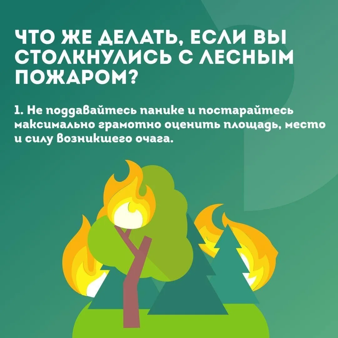 Сообщите нам:

🔥 О пожарной опасности в лесах и обнаруженных
лесных пожарах;
👮‍ О фактах нарушений