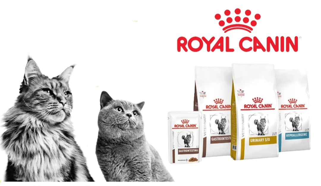 Анонс поступления корма Royal Canin