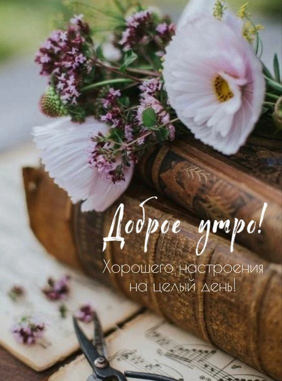 Доброе утро, друзья!)

По погоде: днём +30, ночью +17

Именины отмечают: Александр, Андрей, Иван, Ко