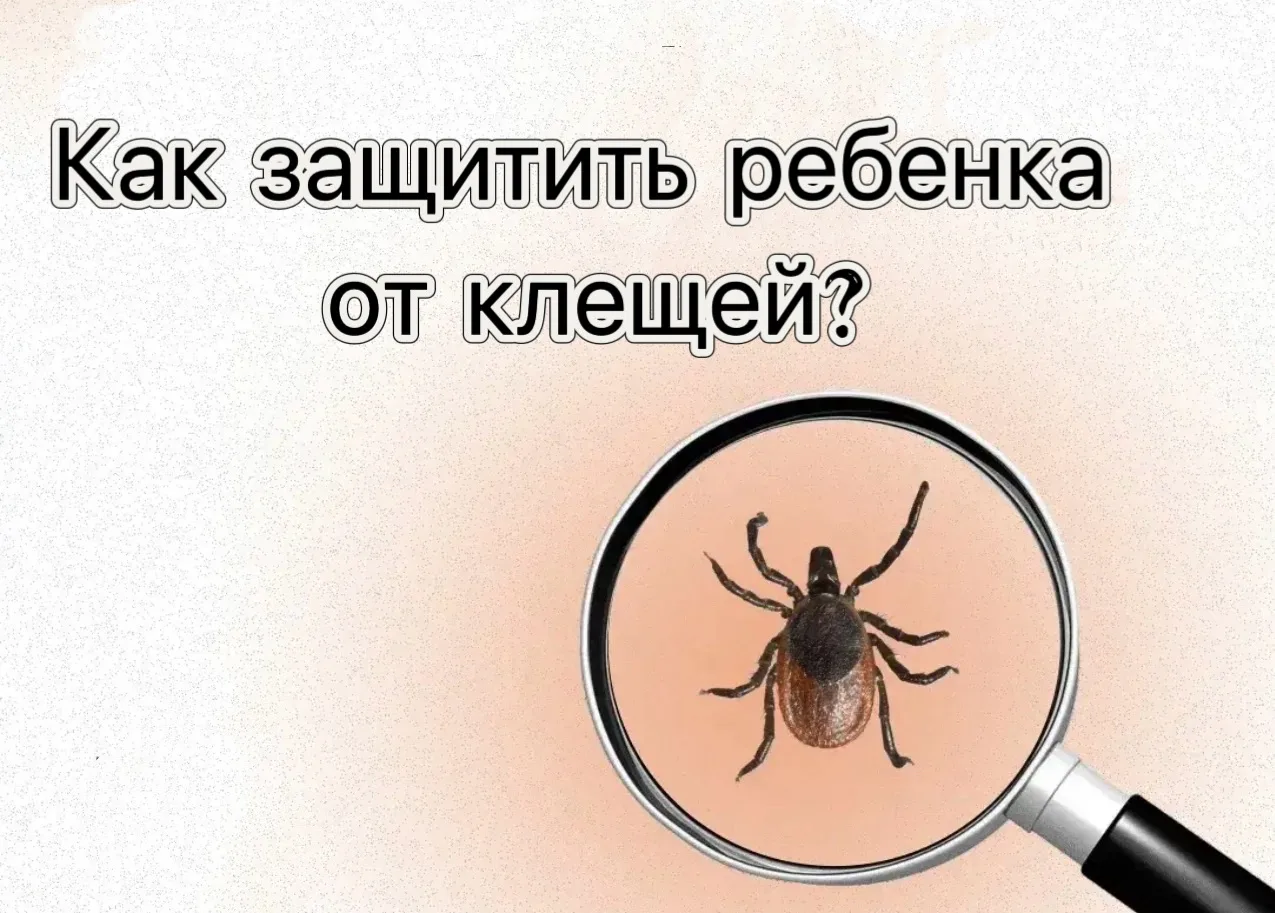 Как защитить ребёнка от клещей?

По информации регионального Роспотребнадзора, только за прошедшую н