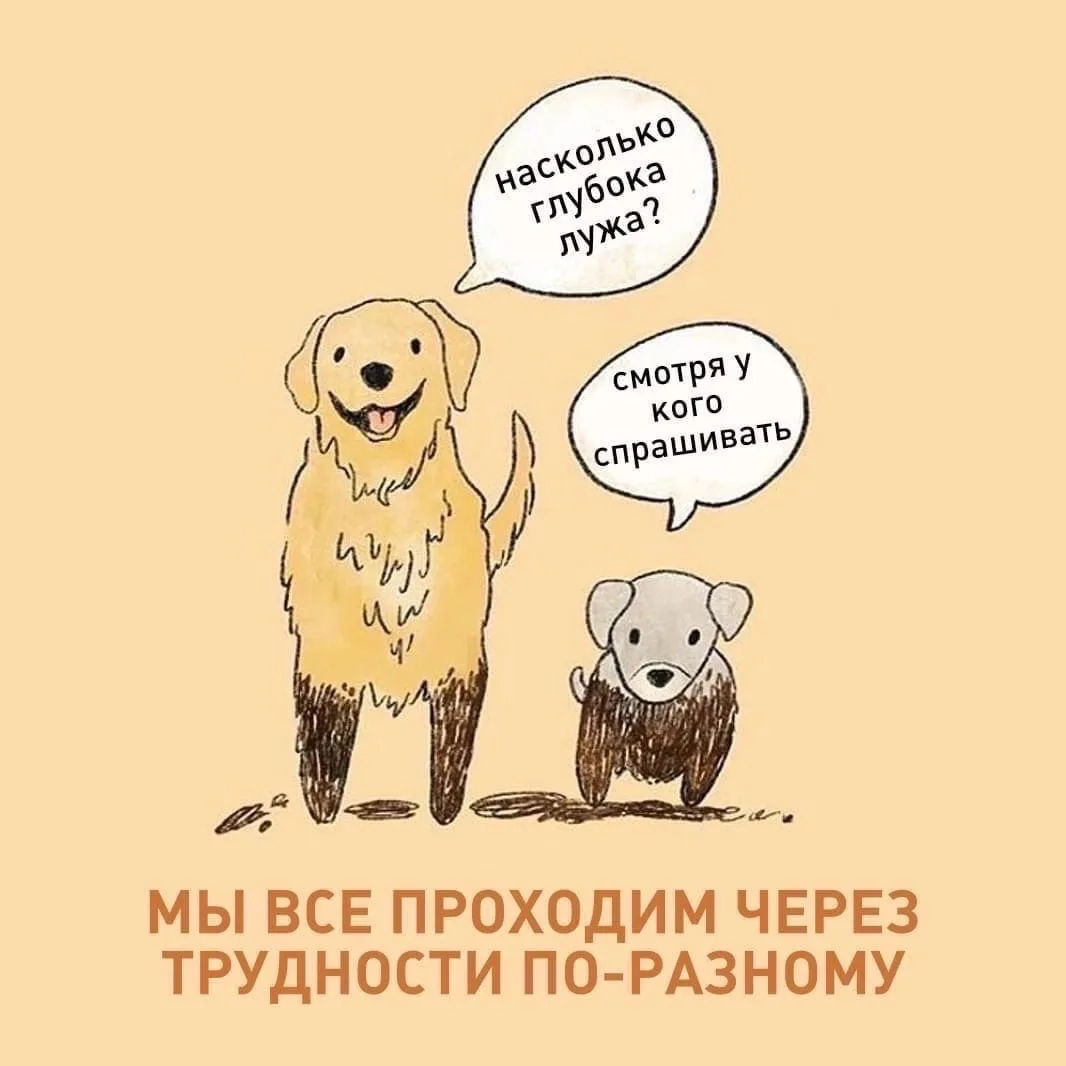 Часто ловишь себя на мысли: «Почему у других всё получается быстрее? Почему они уже там, а я ещё зде