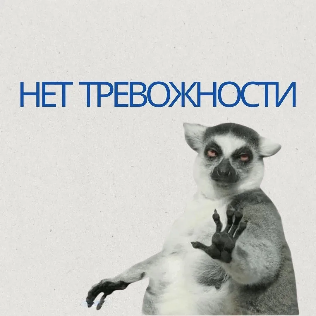 Есть 2 способа справиться с тревогой:

1. Записаться на приём к специалисту.

2. Читать канал «Тихие