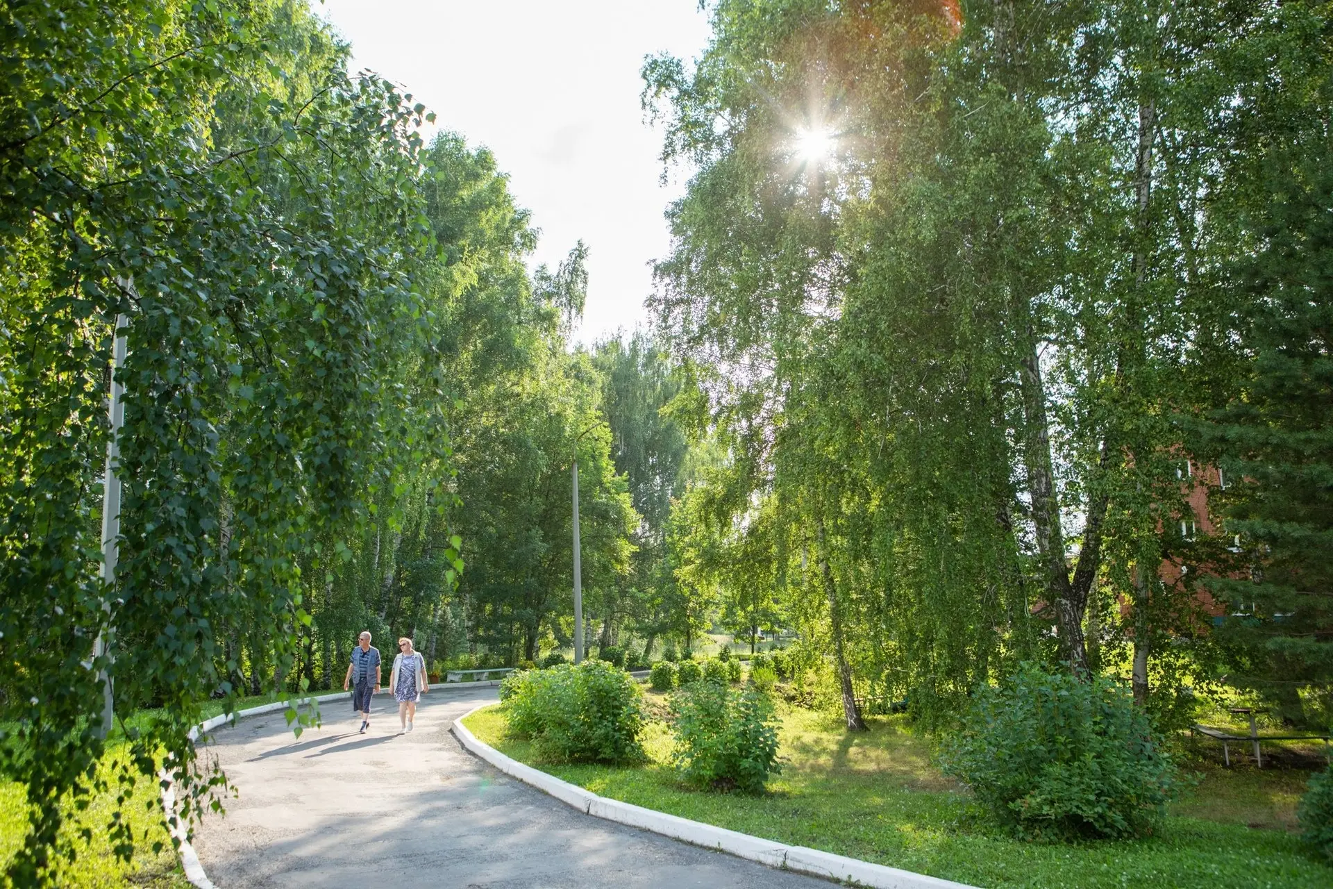 ☀️В нежной зелени листвы
В яркой шляпке набекрень
Лучик солнышка стучится
В этот первый летний день.