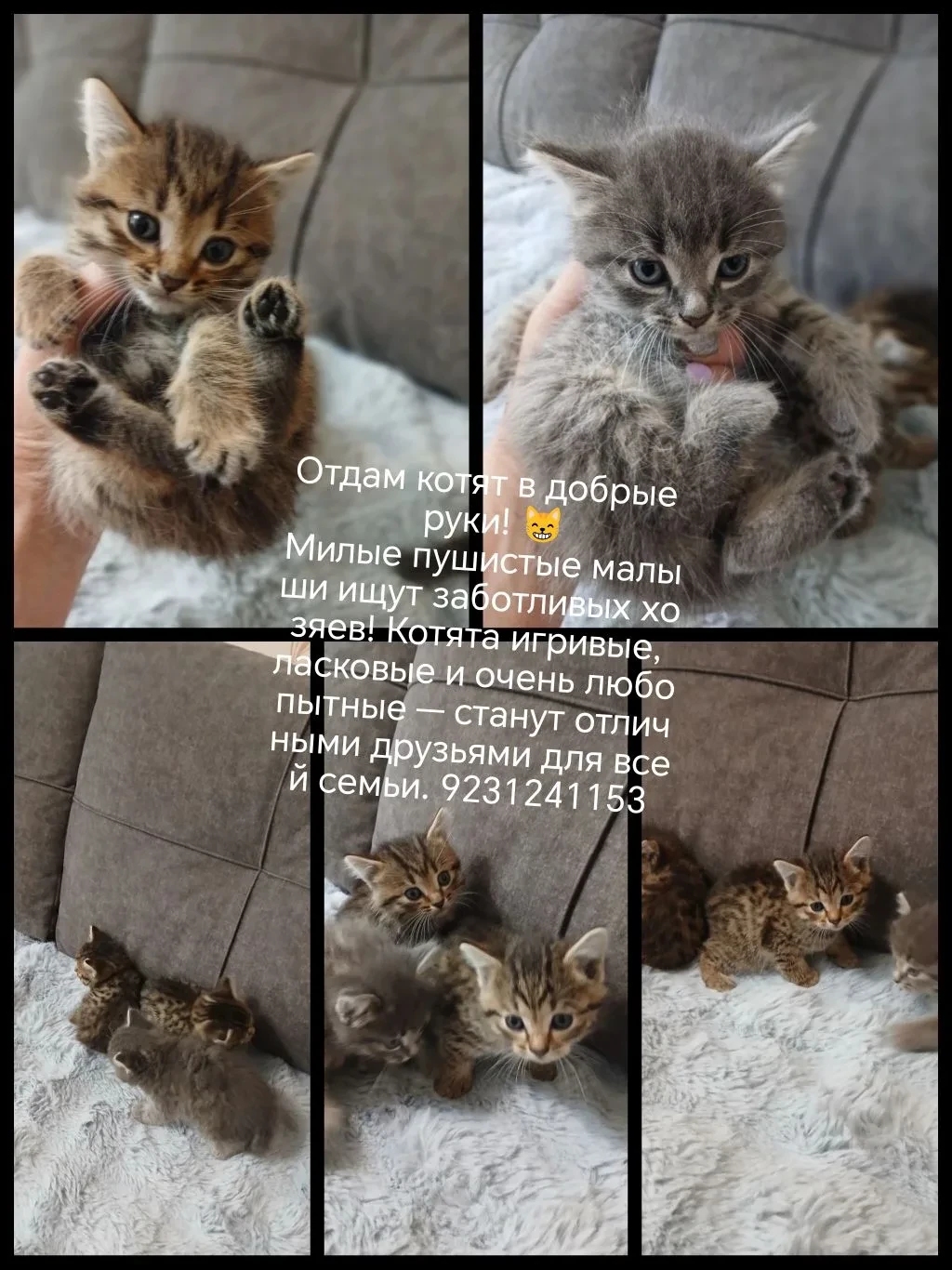 От подписчика Alena