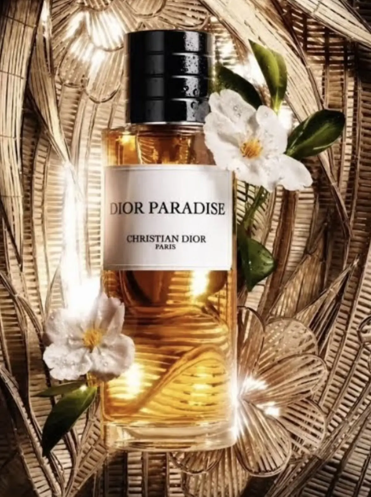 🏝️ #ПарфюмНовинки | Dior Paradise: ПРОВАНСКАЯ ИДИЛЛИЯ ВО ФЛАКОНЕ

 Сегодня мы расскажем о главной п