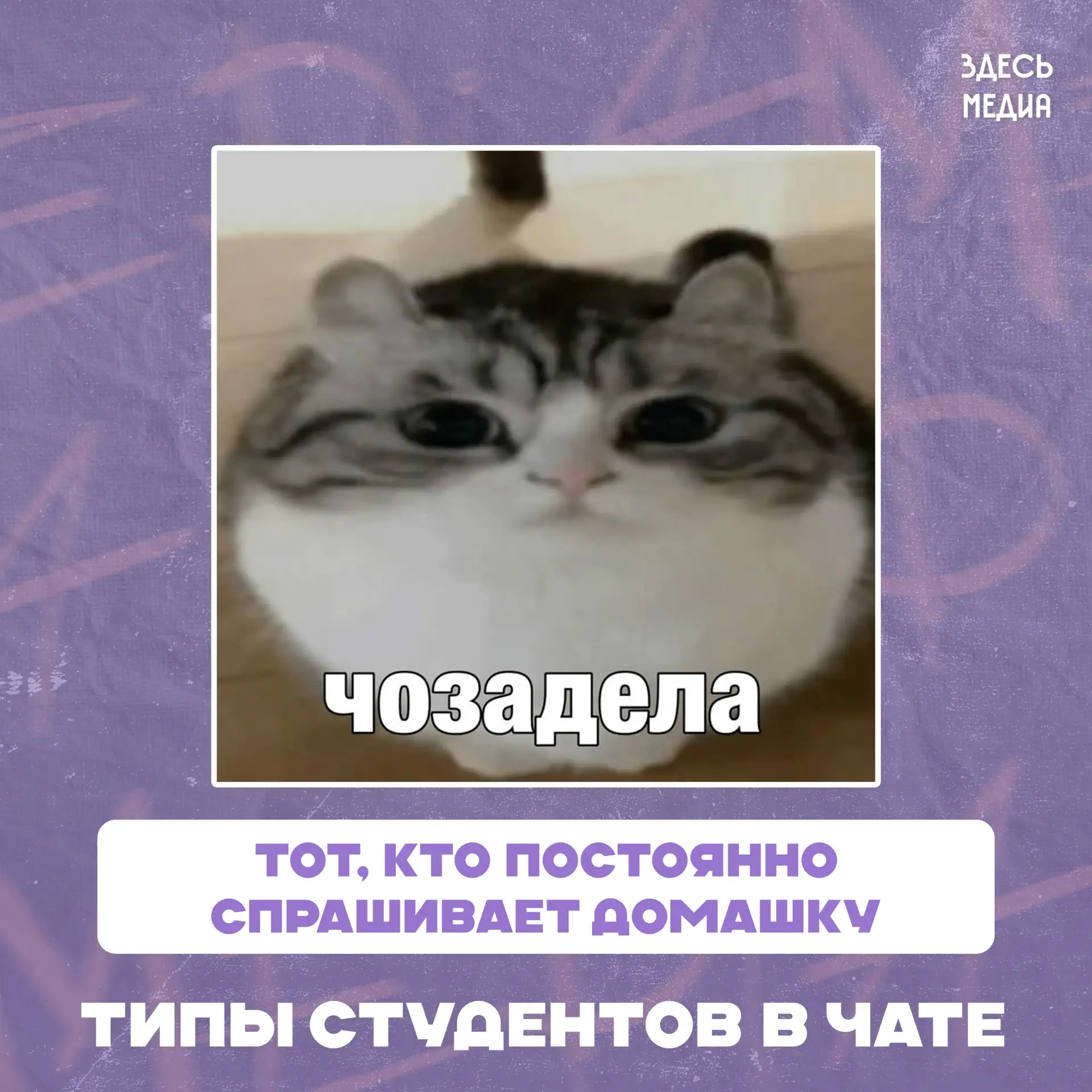 В любом чате каждый участник выполняет свою роль... 👀😇