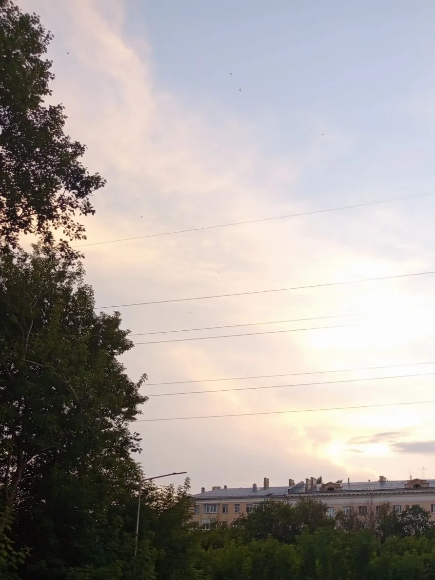 Доброй ночи, 
приятных снов ✨