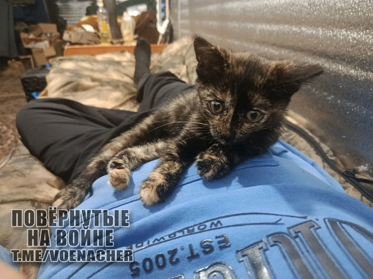 Доброе утро