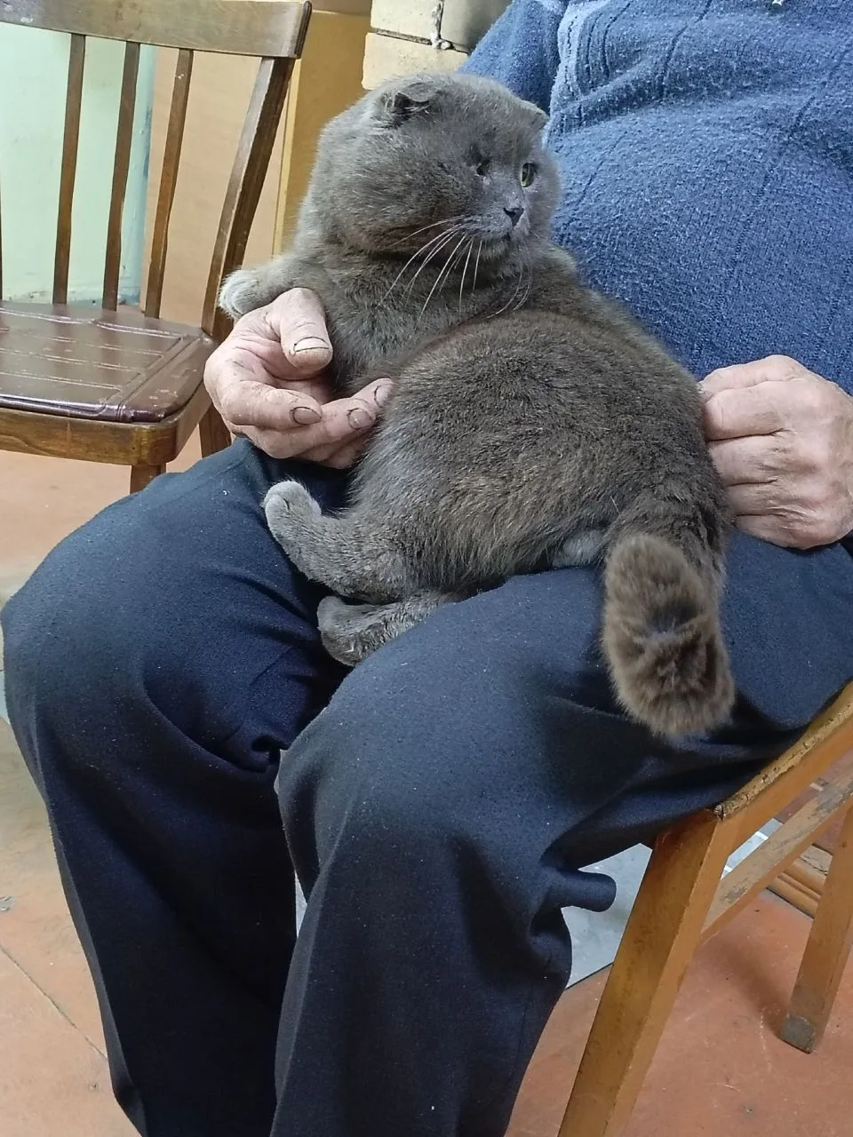 Барсик подрался 🐈‍⬛
Провели клинический осмотр и назначили дальнейшее лечение 💉

Желаем Барсику ск