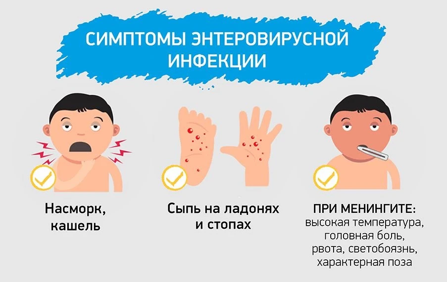 ПРОФИЛАКТИКА ЭНТЕРОВИРУСНОЙ ИНФЕКЦИИ: БЕРЕГИТЕ СЕБЯ И ДЕТЕЙ 🦠⚠️

Уважаемые родители, педагоги и лиц