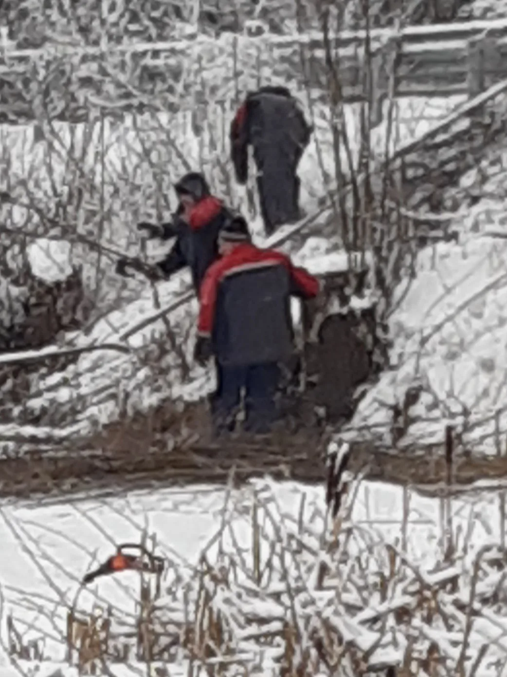 Сегодня в Озерском сельсовете Щигровского района кипит работа. Механизаторы ОАО "Щигровская МТС" выш