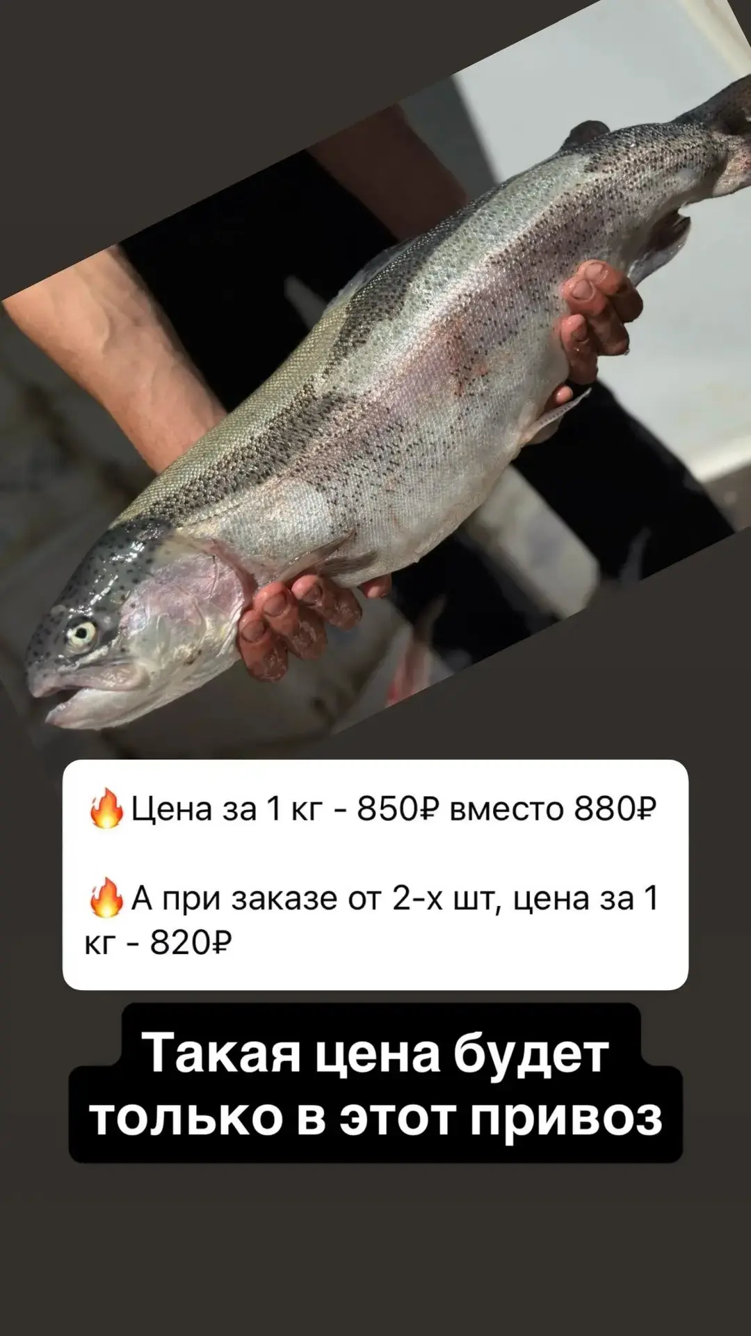 Заявки на охлаждённую форель весом от 1,5 до 3,5 кг  принимаем сегодня до 21 часа.
Цены такой больше