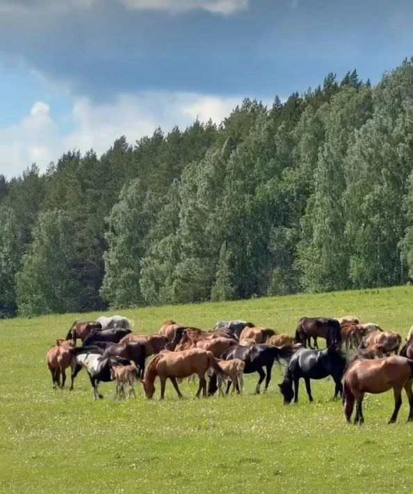 Доброе утро друзья! Желаем всем хорошего настроения🌞