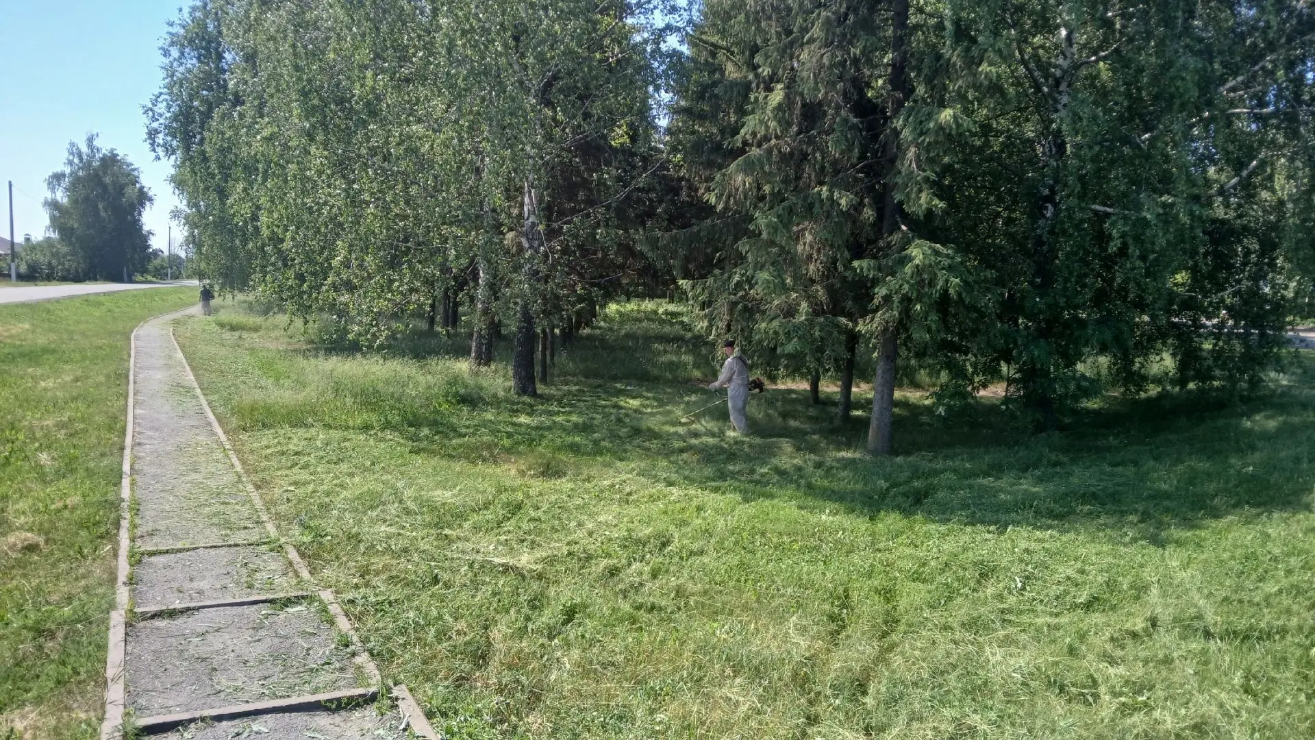 В летний период отмечается бурный рост травы на общественных территориях. В связи с этим сотрудники 