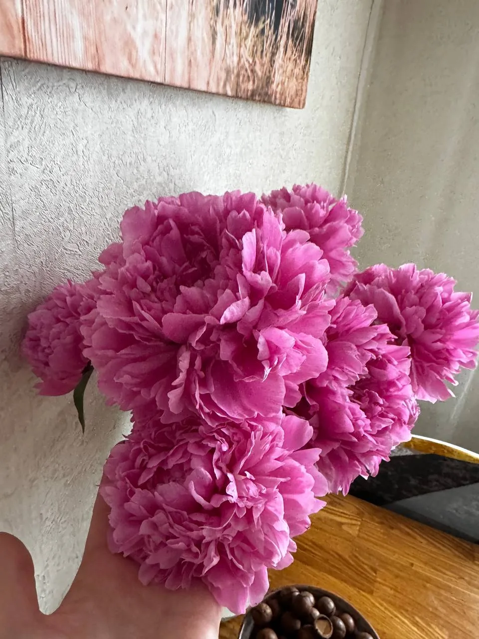 Доброго дня. 

Сегодня у нас дождь на весь день, лагерь не работает 😬, будем развлекаться и развлек