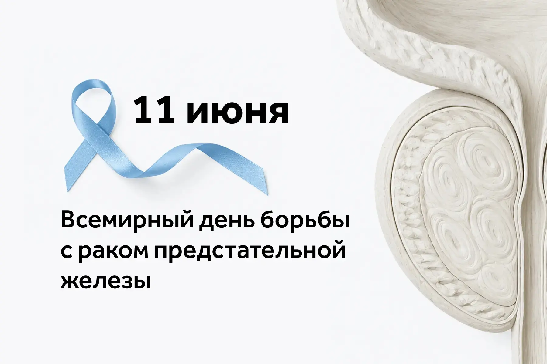 11 июня – Всемирный день борьбы с раком предстательной железы.

Рак предстательной железы (простаты)