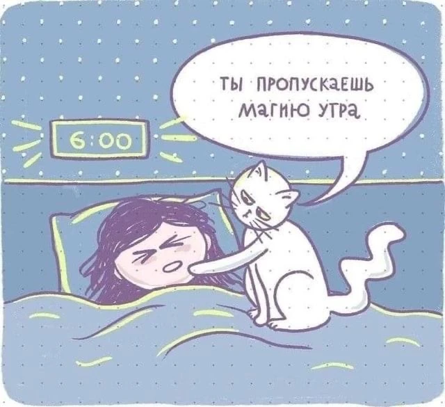 Это моя кошка сегодня в 5.00 утра. Показывайте своих любимцев