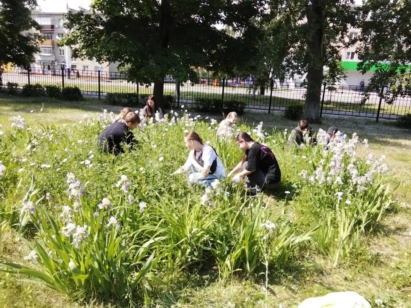 Пока младшие школьники отдыхают в ЛДПД, старшеклассники приходят на практику в школу, занимаются бла