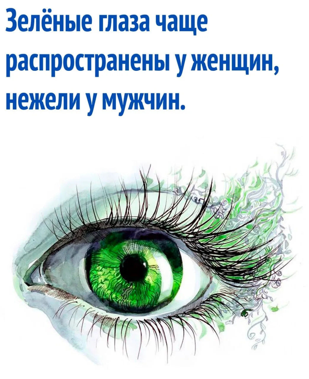 интересные факты / тайны / загадки / наука

https://max.ru/interesnie_fakti1
