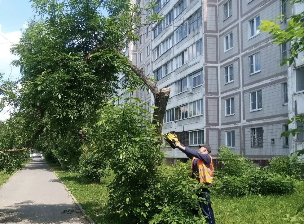 ✅Продолжаем работы по благоустройству!

🌳Ухоженные деревья — это красота и безопасность вашего двор