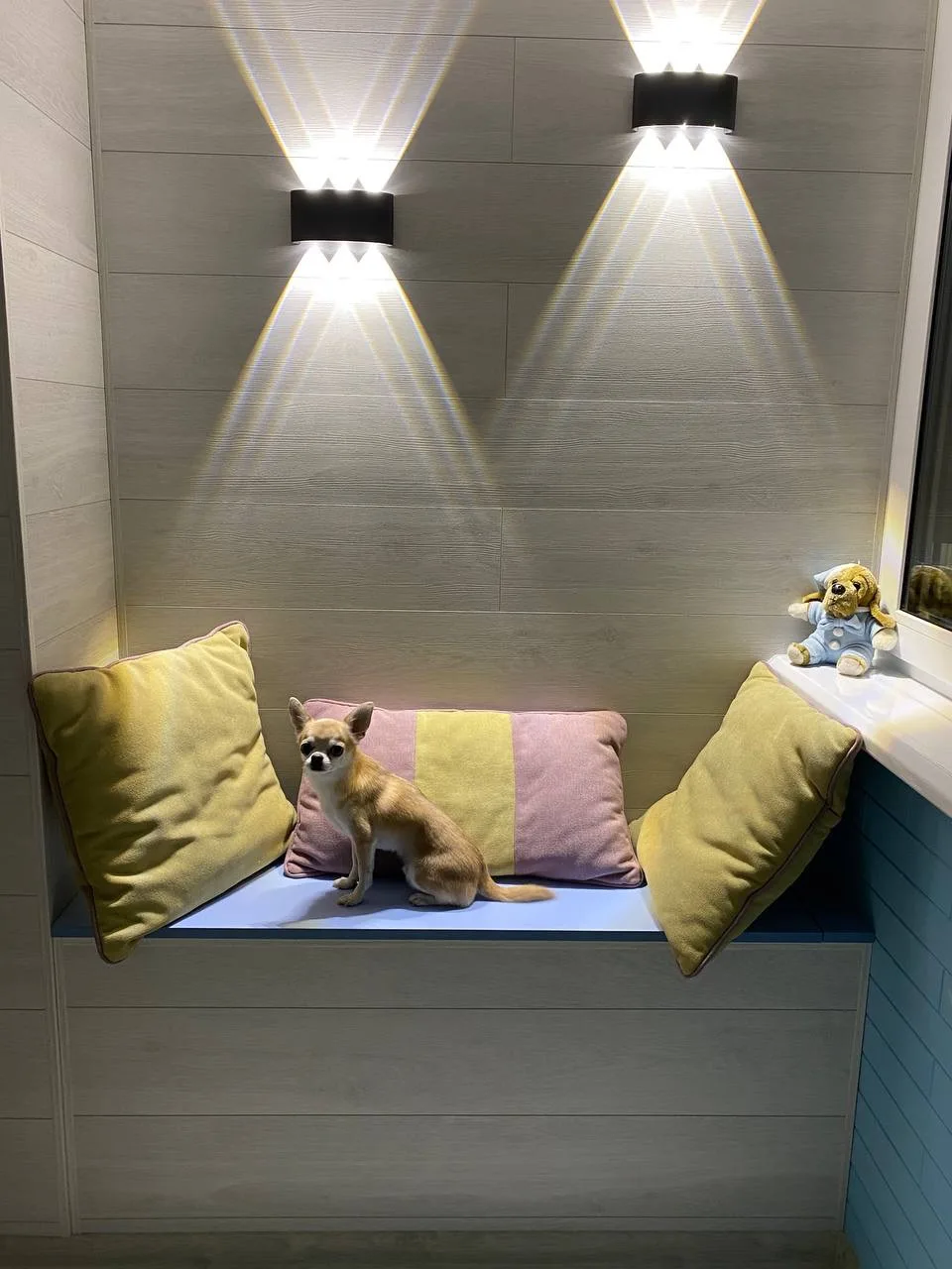 Когда даже самый маленький член семьи оценил работу на 5+! 🐕✨

Наш пушистый «главный инспектор» уже