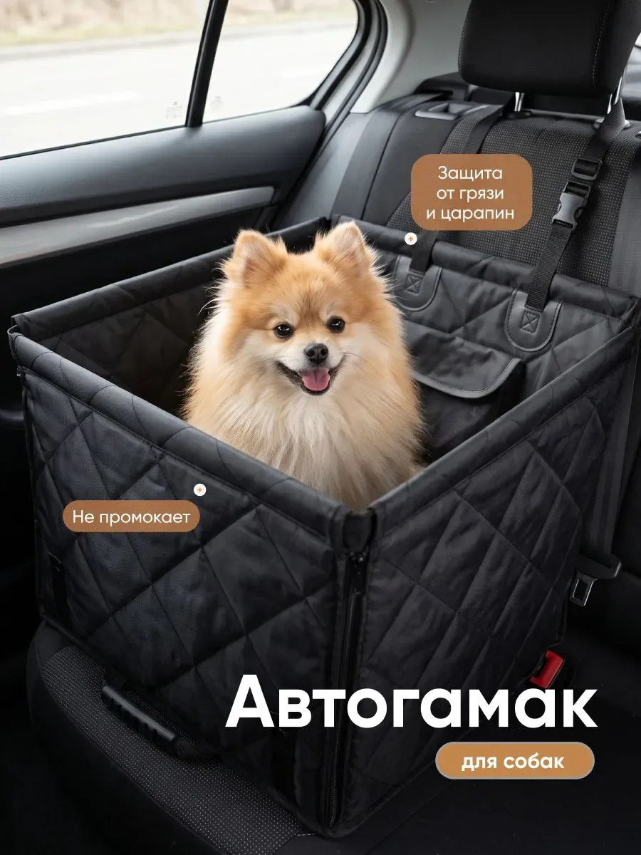 Автогамак для собак в машину SSY на OZON
Цена: 1830 руб.

Посмотреть на OZON

Реклама. Информация о 