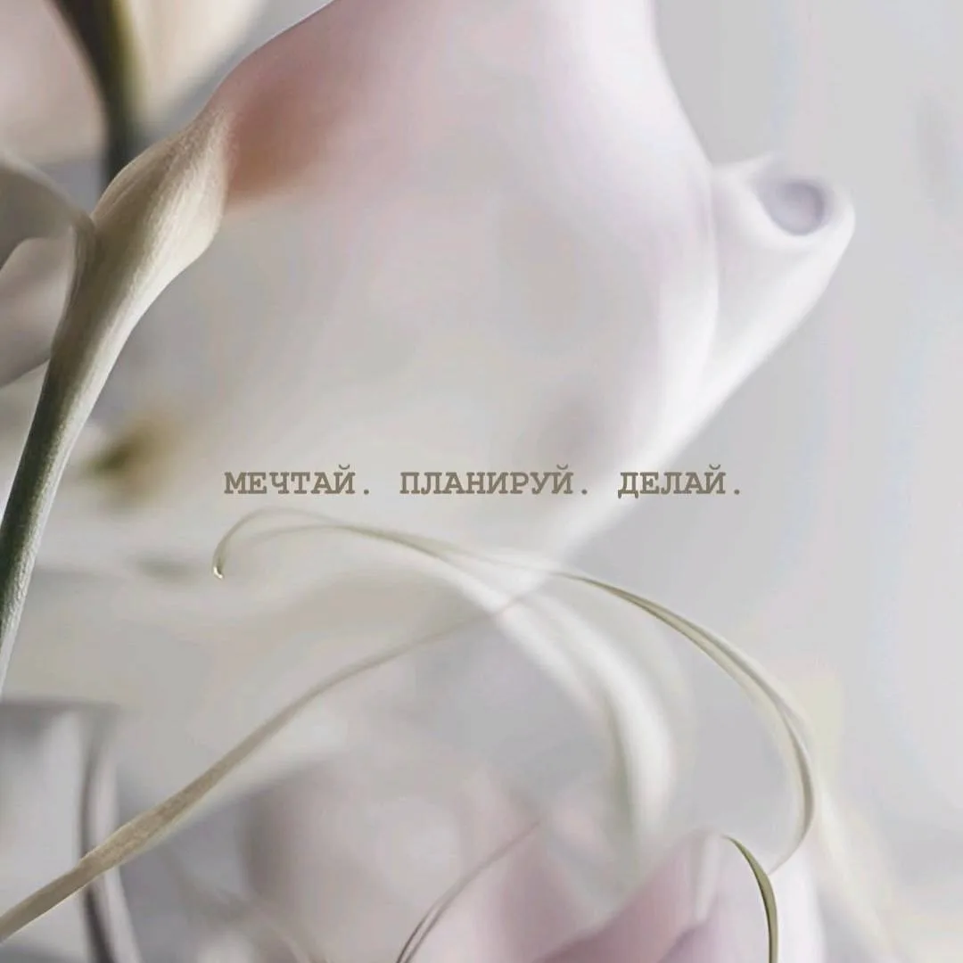 ☕️ Настройка дня 

Мечтай.
Планируй.
Делай. 

🔥- ставьте, если забираете с собой