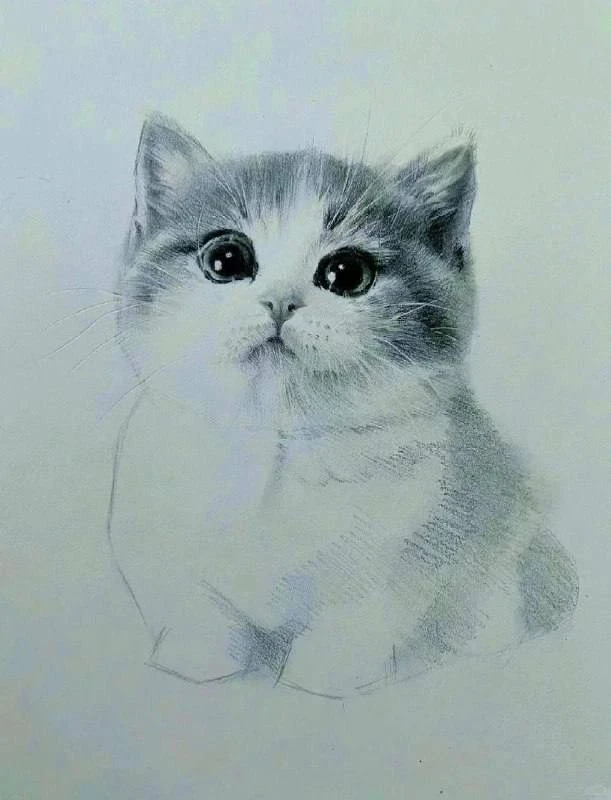 Милый котёнок

Нарисуешь милашку?
❤️ – дааа
🗿 – не 

РИСОВАНИЕ 🎨