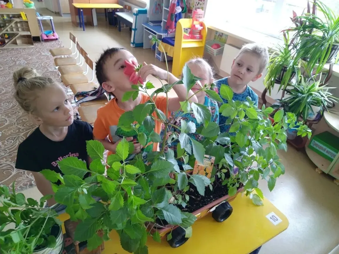 🌱 Наше маленькое чудо 🌿

Наконец наступил этот долгожданный момент! Дети с гордостью и трепетом на