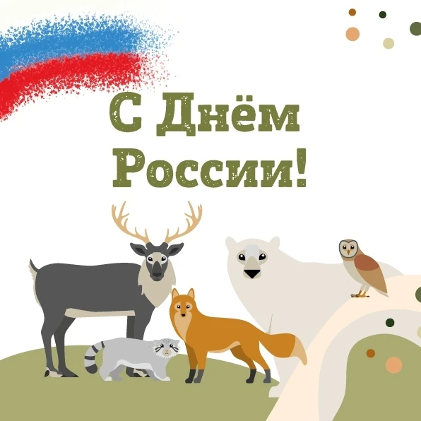 Крестовский Остров | Чкаловская | Санкт-Петербург🏡

С Днём России!🇷🇺

От лица всего Ленинградског