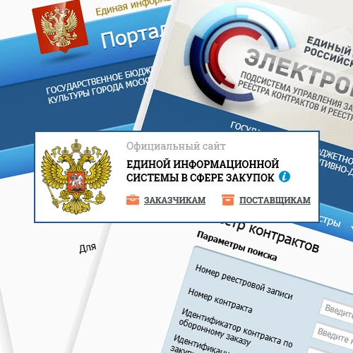 Единая информационная система (ЕИС) – официальный онлайн портал, содержащий весь необходимый перечен