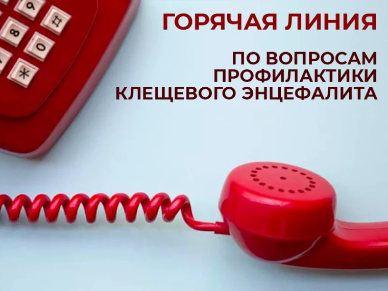 С 27 апреля по 10 мая в Управлении Роспотребнадзора по Томской области заработает «горячая линия» по