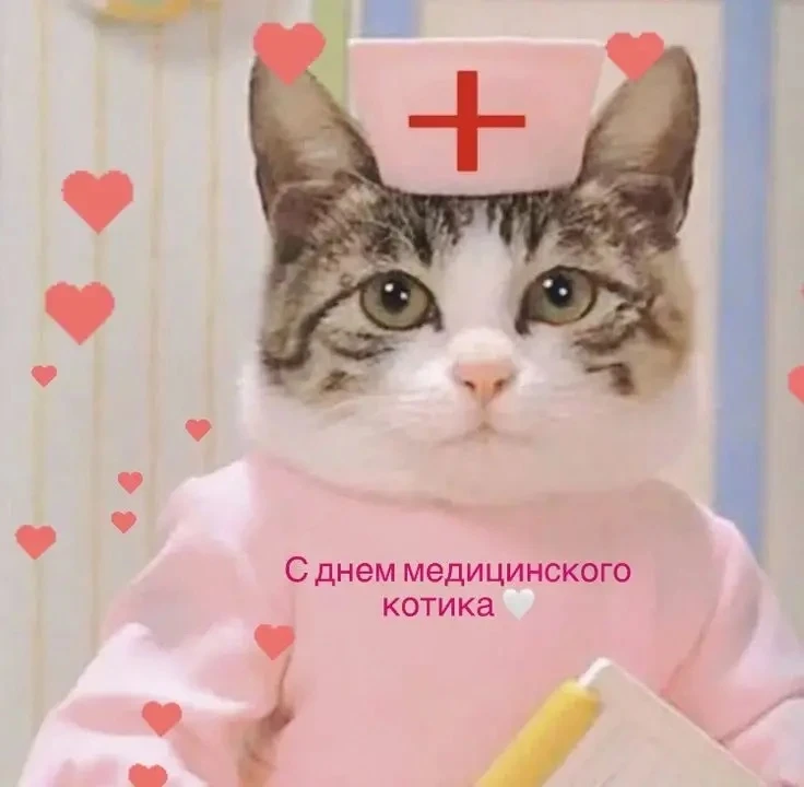 С праздником, дорогие медики. 

Это невероятный труд, на который может быть способен человек только 