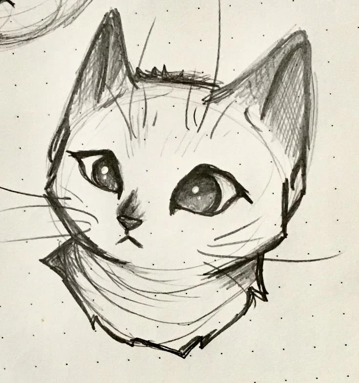 Рисуем котика

Сможешь нарисовать?
❤️ – дааа легко
😢 – сложно

РИСОВАНИЕ 🎨