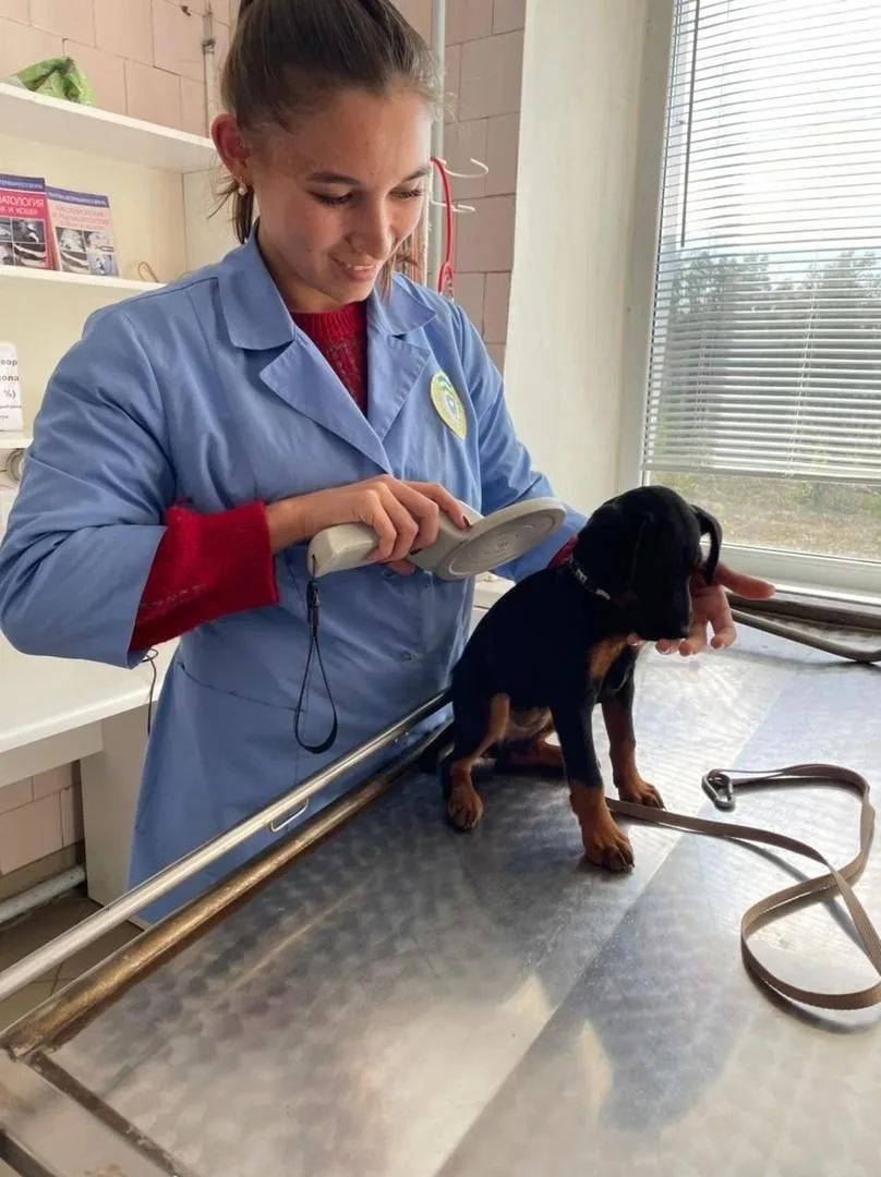 С 1 марта 2026 года вступил в силу Закон Республики Башкортостан от 30 июня 2025 года № 302 -з «О вн