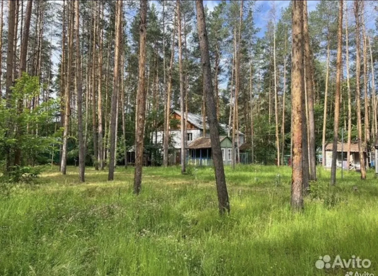 ⚡️Турбазу «Трикотажница», построенную во времена СССР в Красноярском районе, на реке Кондурча, выста