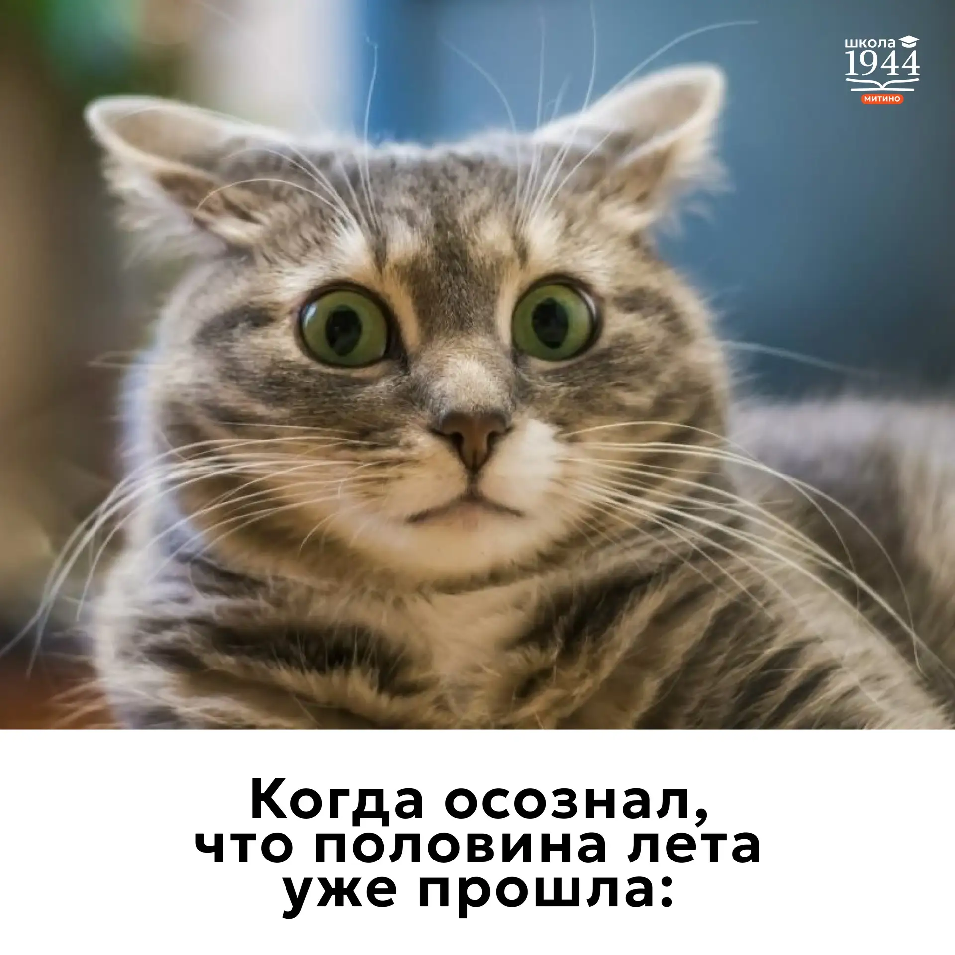 Как говорится, лучшее, конечно, впереди! 🙃

#ДОНМ #ШколыКолледжиМосквы