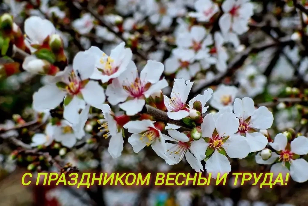 Уважаемые арсеньевцы!

Поздравляю вас с праздником Весны и Труда!

1 Мая - всенародный и любимый пра