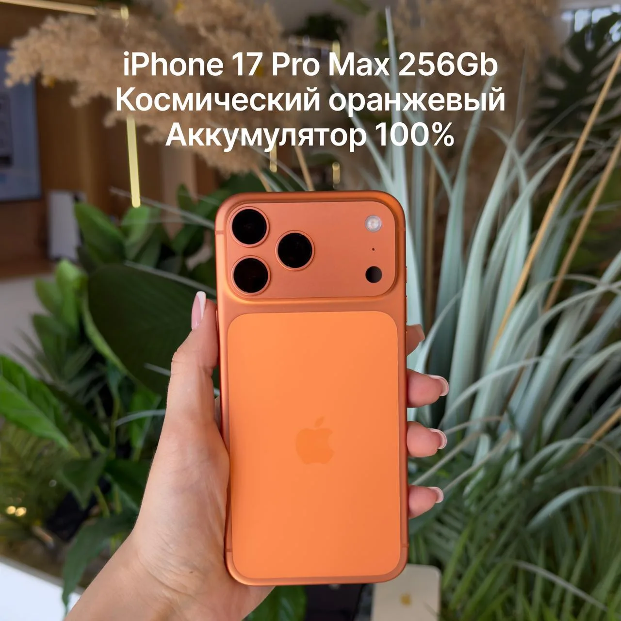 Техника Apple из трейд-ин — оригинал по доступной цене

В нашем магазине вы найдете не только новую 