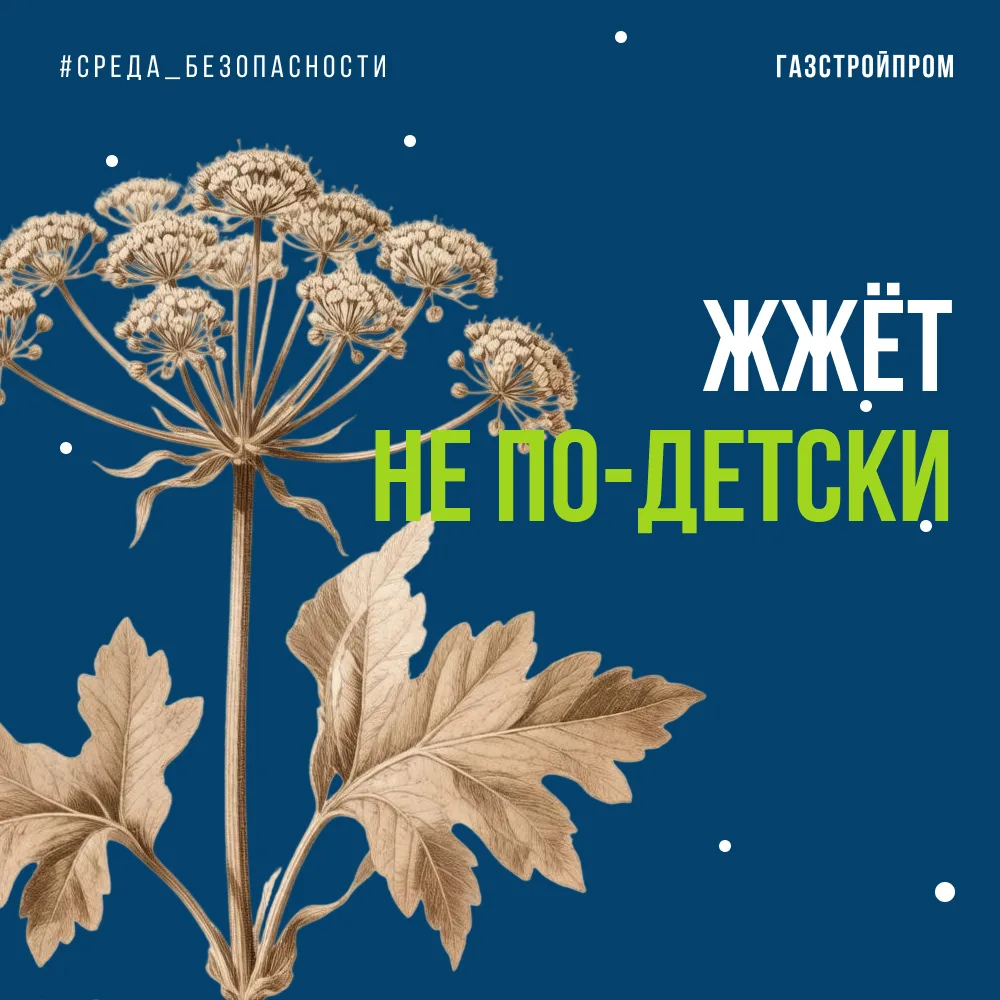 Не борщи!
 
В истории России 20 века есть печальная ошибка, о которой принято вспоминать раз в год –