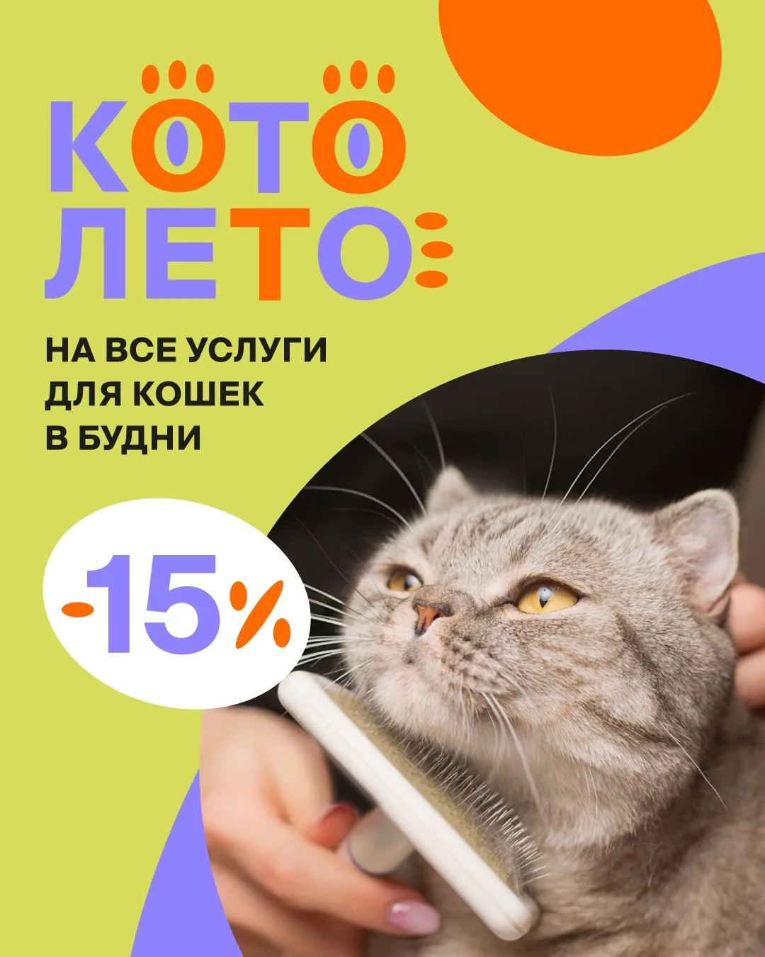 Ура, КотоЛето! 💜

Всё лето дарим скидку 15% на услуги груминга для кошек в будние дни! 🐈

Записыва