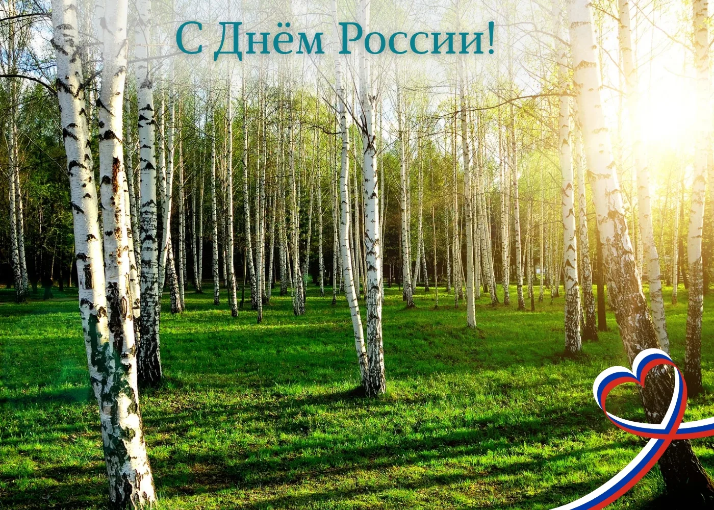 С Днём России! 🇷🇺

Друзья, коллеги, с праздником нас всех! Сегодня особенный день — День нашей бол