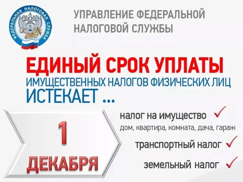 ❗️До 1 декабря включительно россиянам следует успеть заплатить налоги. 

🗓️В 2025 году именно в это
