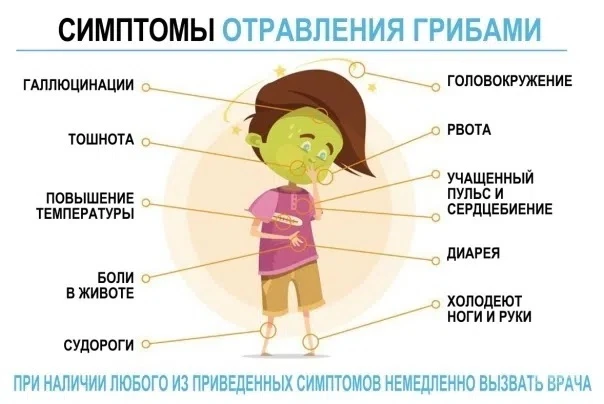 ❗Первая помощь при отравлении ядовитыми растениями или грибами
👉Отравление может произойти при приё