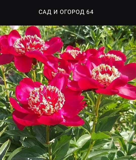 https://max.ru/join/9Nnmnpu2UtgKA-6dtr6eJprBmvvuWA0MIm3ifZK3XEU