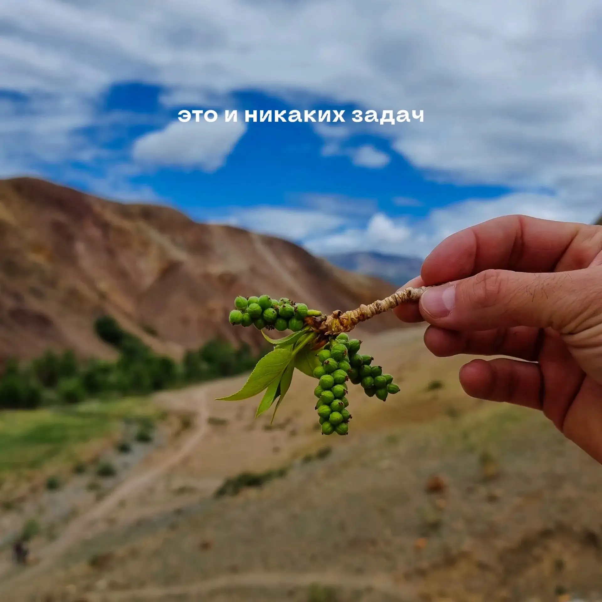 Перезагрузка с комфортом на Алтае с Gelios Travel ☀️ 

С нами можно просыпаться с видом на горы, вес