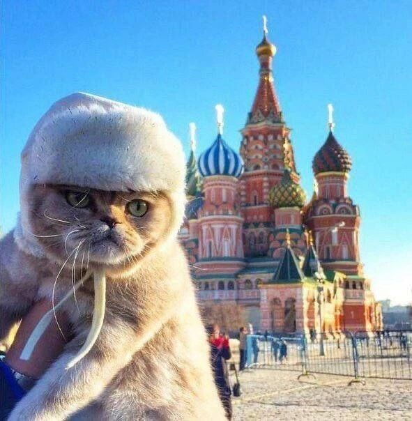Топ 50 мест куда сходить на выходных

Живете в Москве, а на нас не подписаны? Зря-зря.

В MAX появил