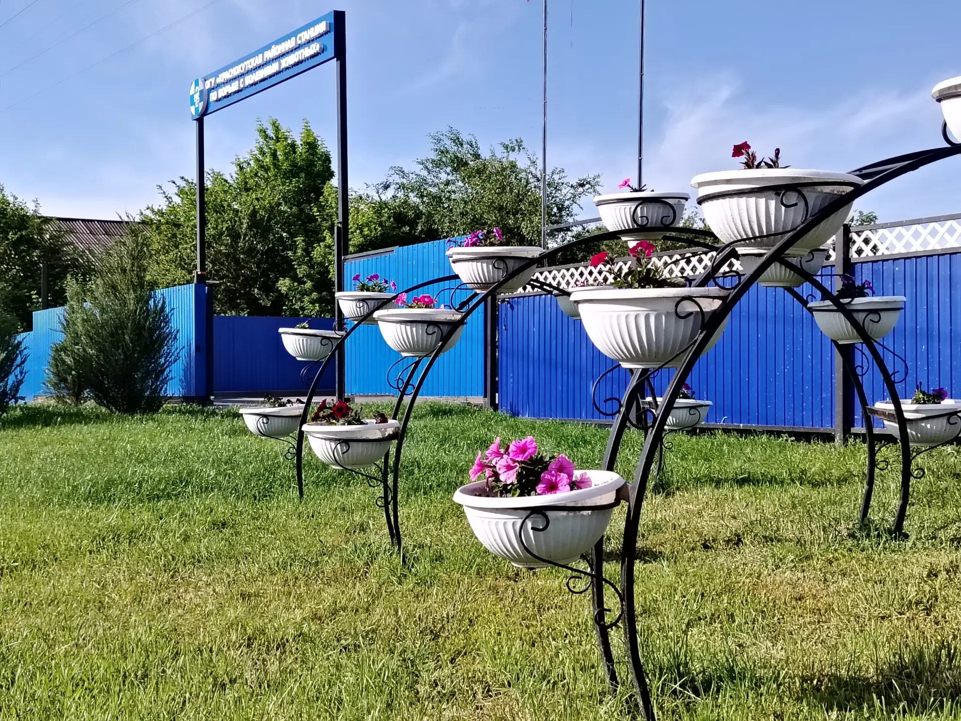 🌺Июнь - первый месяц лета. В народе его зовут румянцем года, разноцветом, хлеборостом. Это месяц дл